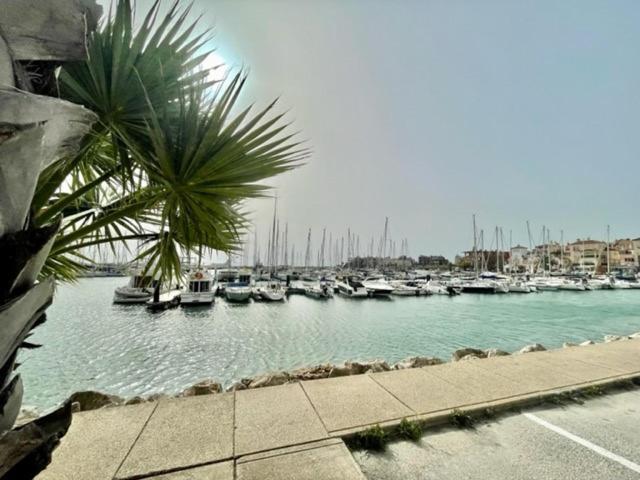 Gatu Sherry, Junto Puerto Deportivo Y Playa " Preferente Mayores De 25 Anos Y Familias " เอลปูแอร์โต เด ซานตามาริอา ภายนอก รูปภาพ
